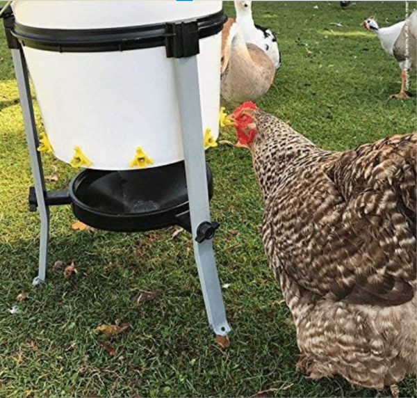 Accessori per avicoli