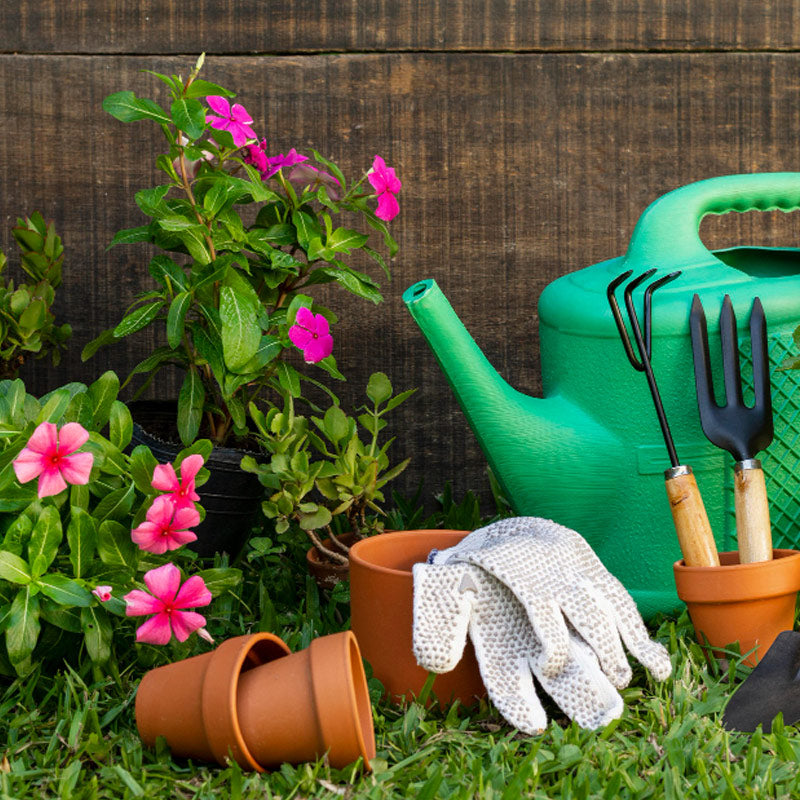 Agricoltura e Giardinaggio