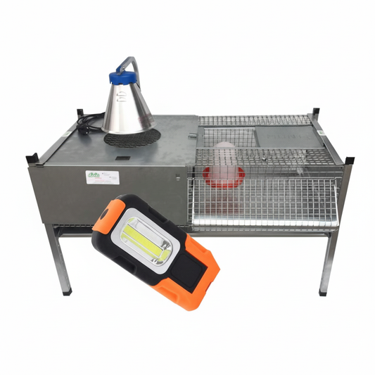 03-0028 - Immagine 1