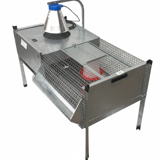 03-0028 - Immagine 3