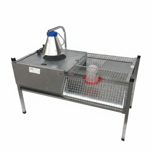 03-0028 - Immagine 6