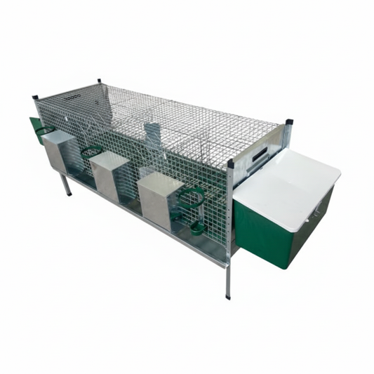 03-1215 - Immagine 1