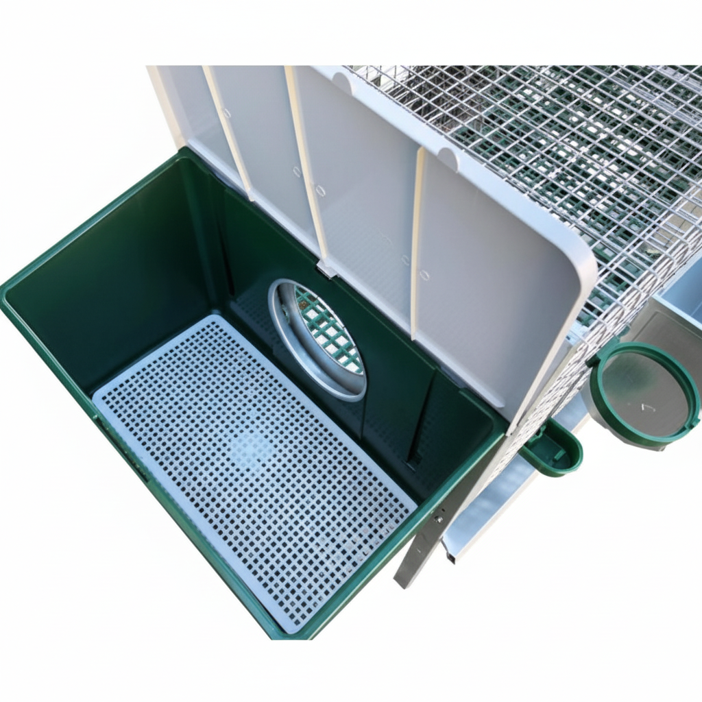 03-1215 - Immagine 10