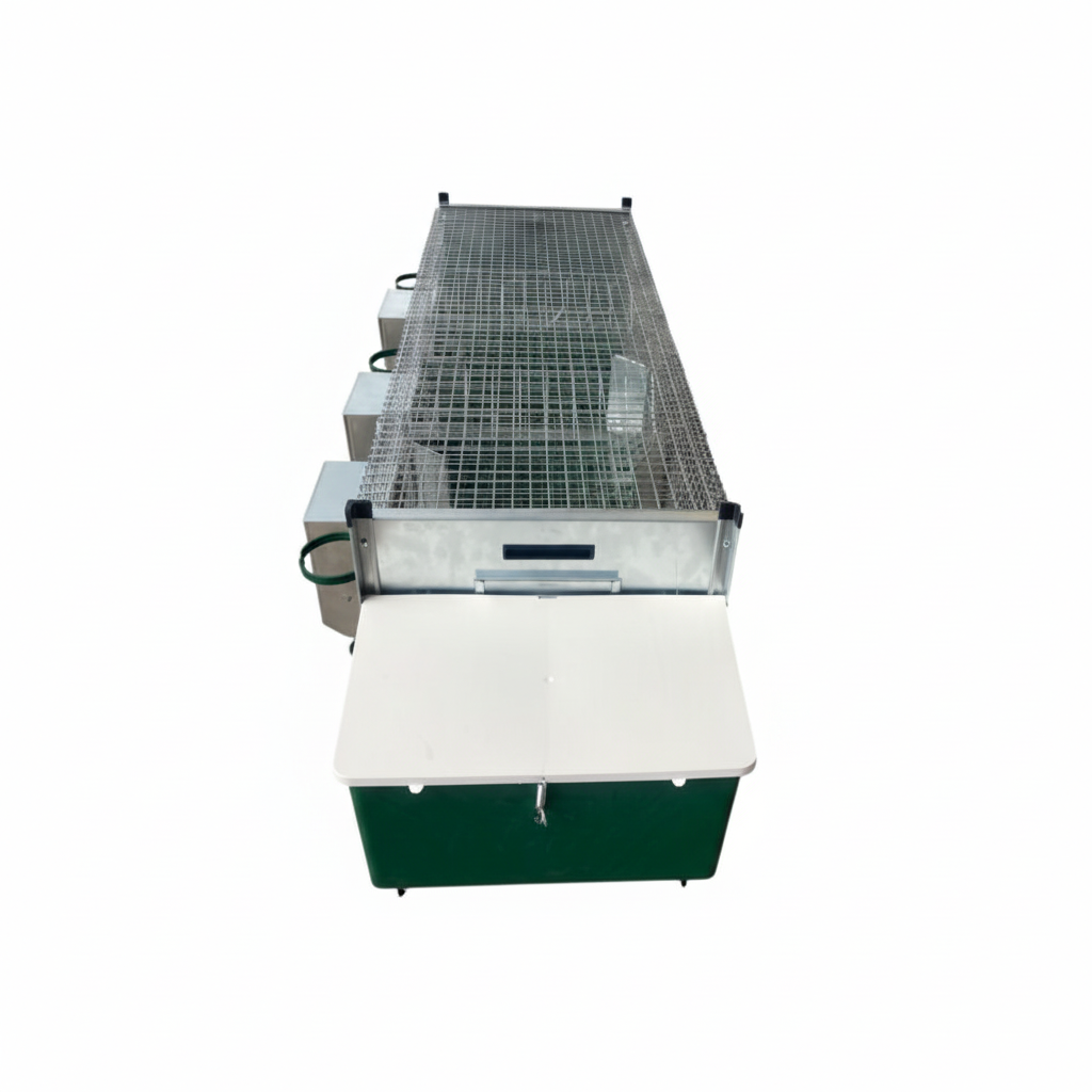 03-1215 - Immagine 3