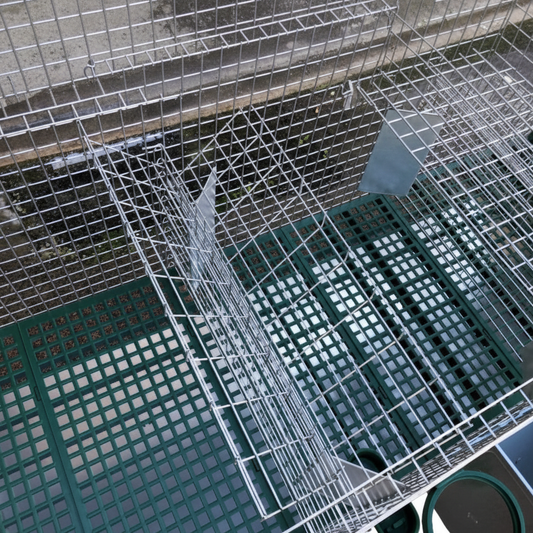 03-1215 - Immagine 6