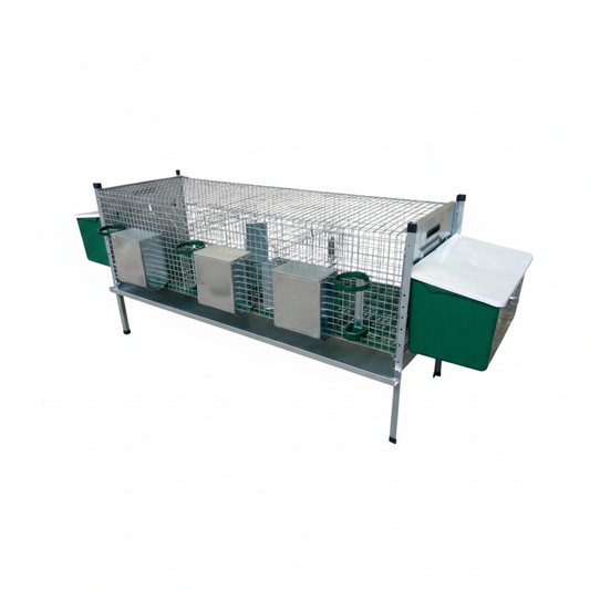 03-1215 - Immagine 8