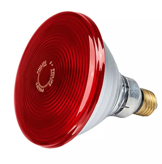 Lampada Philips Infrarossi Riscaldante 100 W E27 - Utile per Cuccioli Pulcini Rettili e altri animali