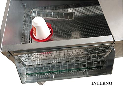 Gabbia Allevatrice Pulcinaia Riscaldata