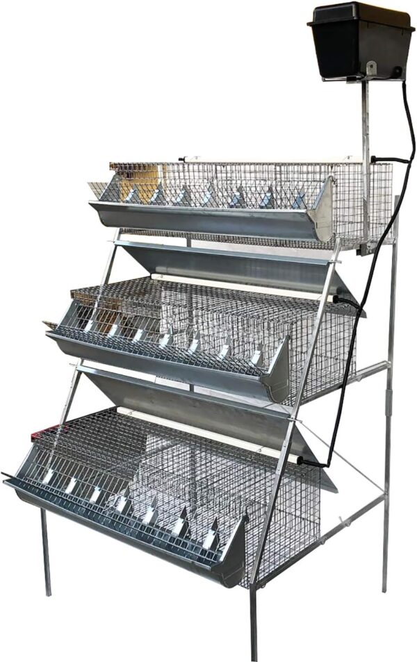 Gabbia B3-100 Plus 3 Piani a Piramide per Ingrasso Conigli