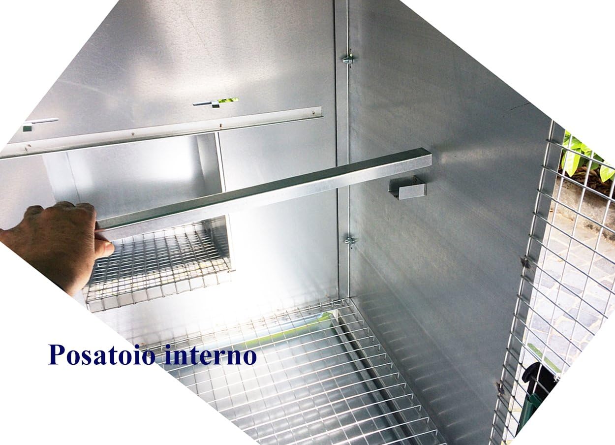 Pollaio Sorrento Anti Predatore