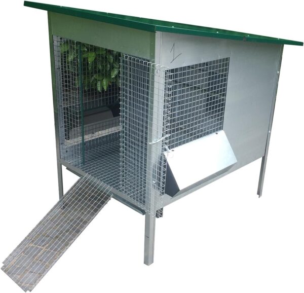 Pollaio Sorrento Anti Predatore