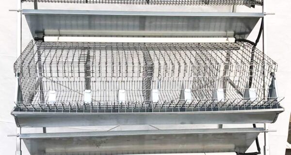 Gabbia B3-100 Plus 3 Piani a Piramide per Ingrasso Conigli