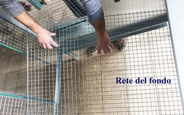 Pollaio Sorrento Anti Predatore