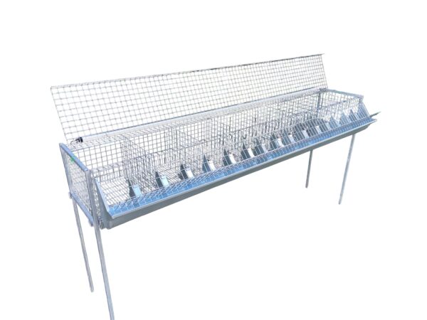 Gabbia Conigli Ingrasso 8 fori Con Sostegni