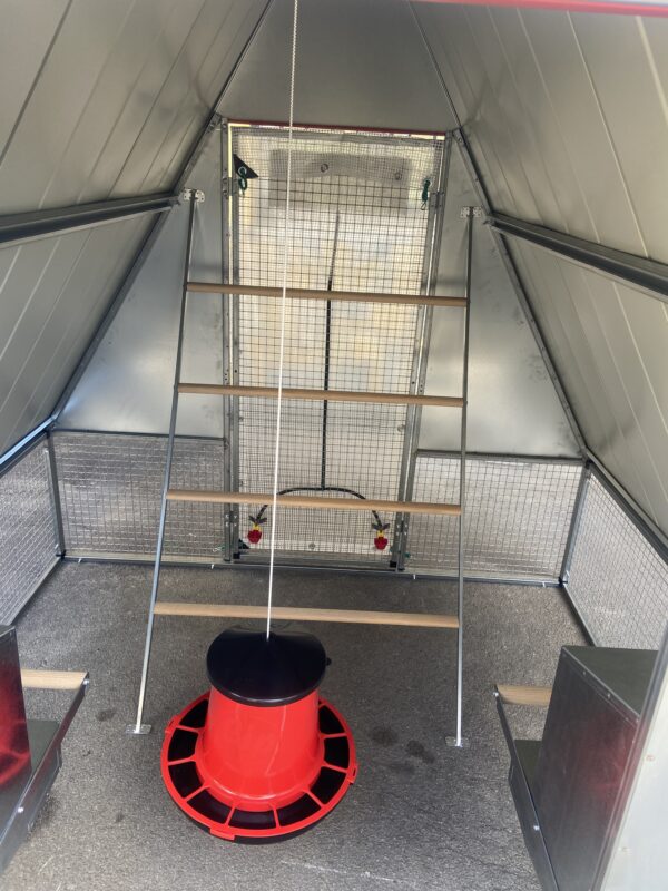 Pollaio Pompei Anti Predatore in Rete e Lamiera Zincata