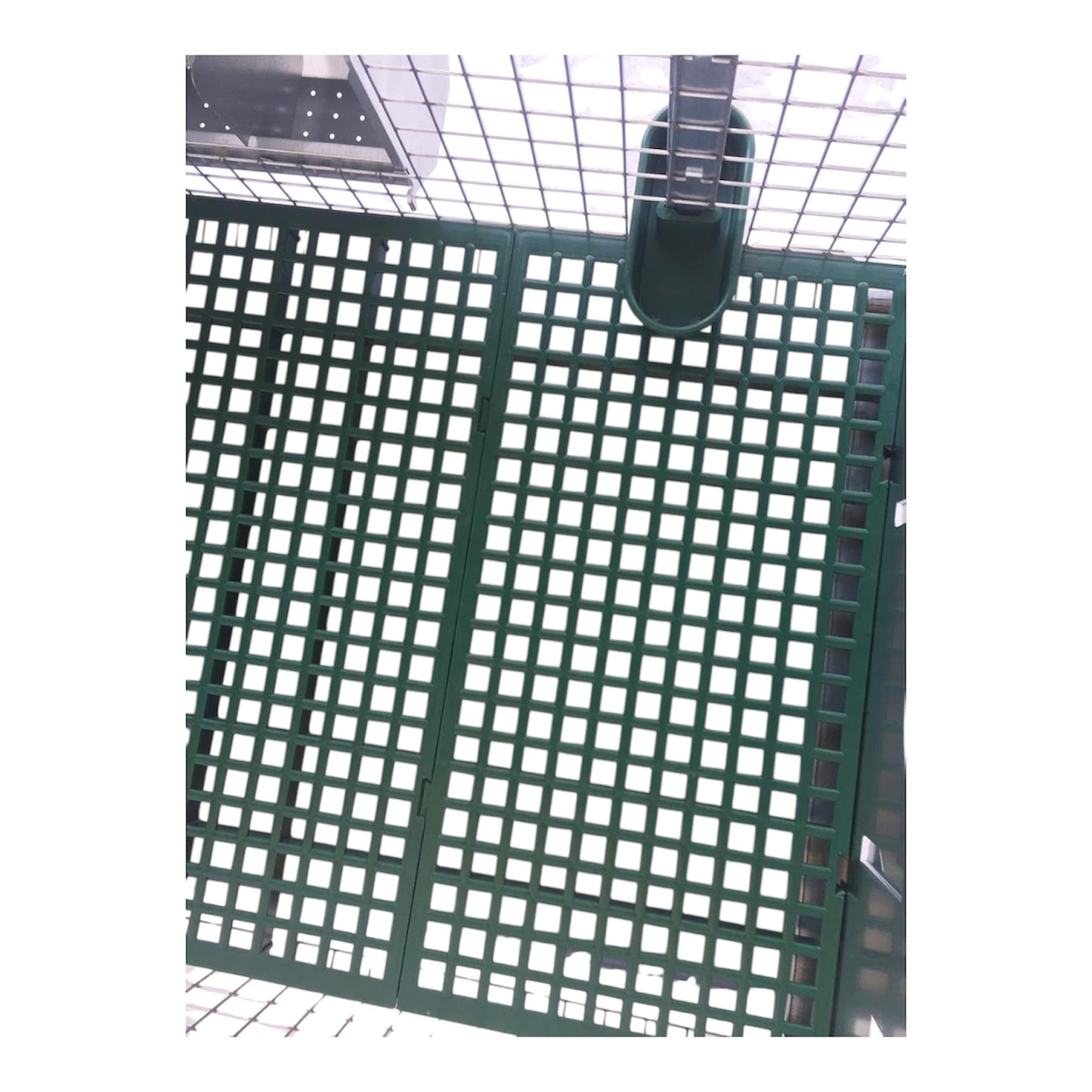 Gabbia Conigli 2 Fattrici M4