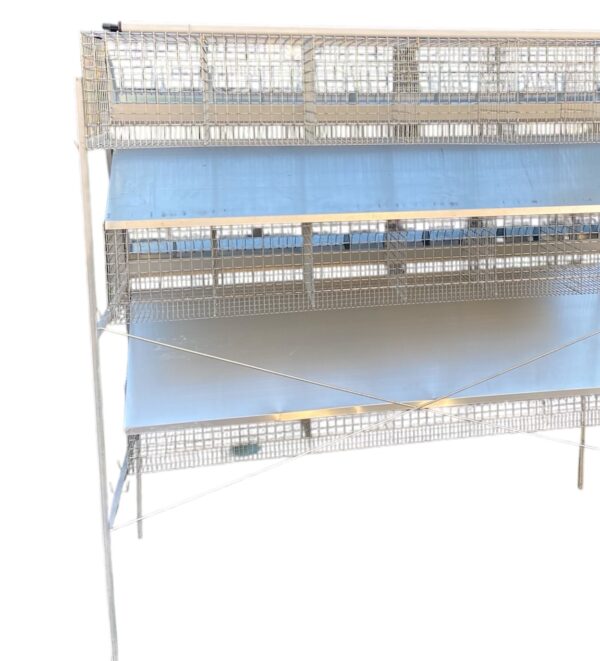 Gabbia Conigli B3-190 Conigliera a 3 Piani Ingrasso