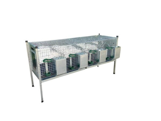 Gabbia Conigliera per Conigli ingrasso Bunny