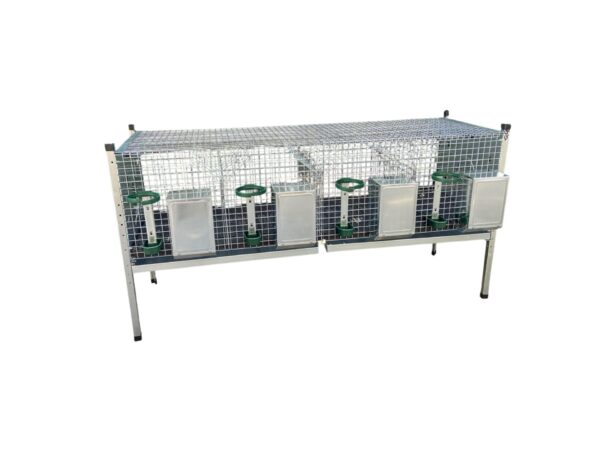 Gabbia Conigliera per Conigli ingrasso Bunny