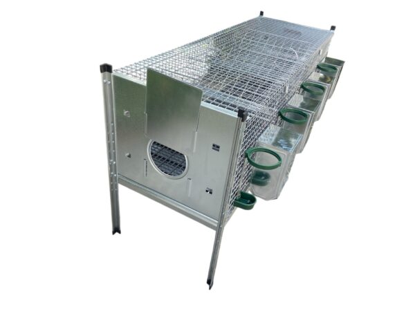 Gabbia Conigliera per Conigli ingrasso Bunny