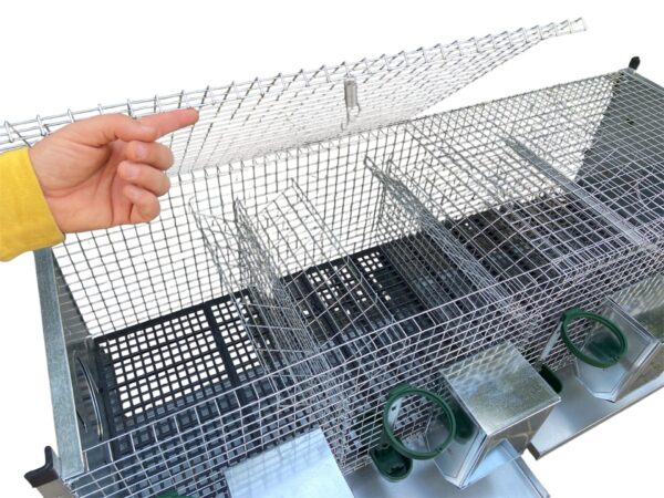 Gabbia Conigliera per Conigli Azael