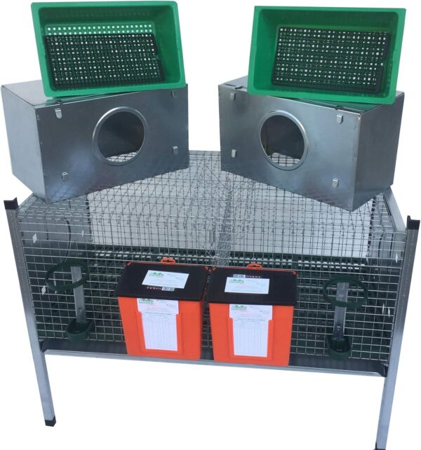 Gabbia Conigli 2 Fattrici M4