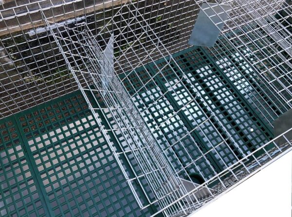 Gabbia Conigli Rabbit Lusso Conigliera 3 Scomparti