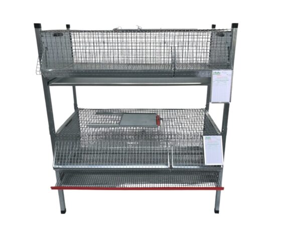 Gabbia per Quaglie Combo