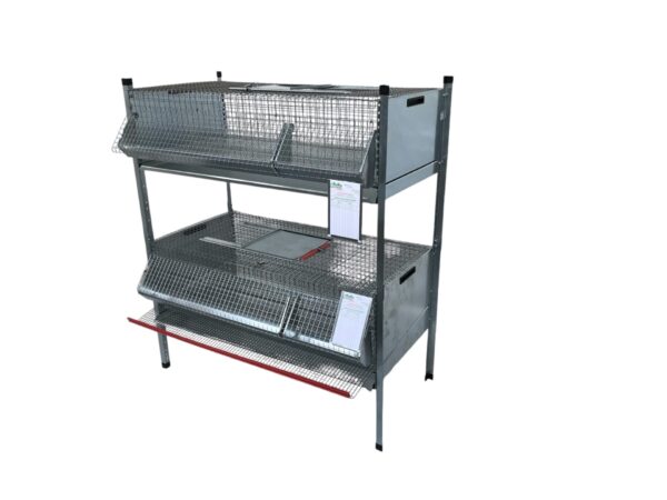 Gabbia per Quaglie Combo