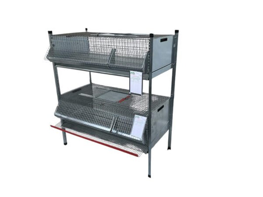 Gabbia per Quaglie Combo