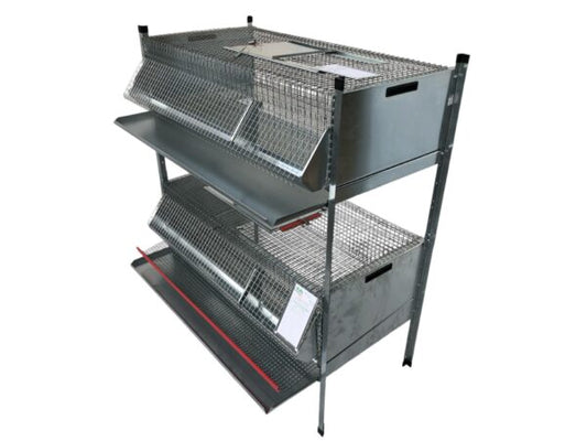 Gabbia per Quaglie Combo