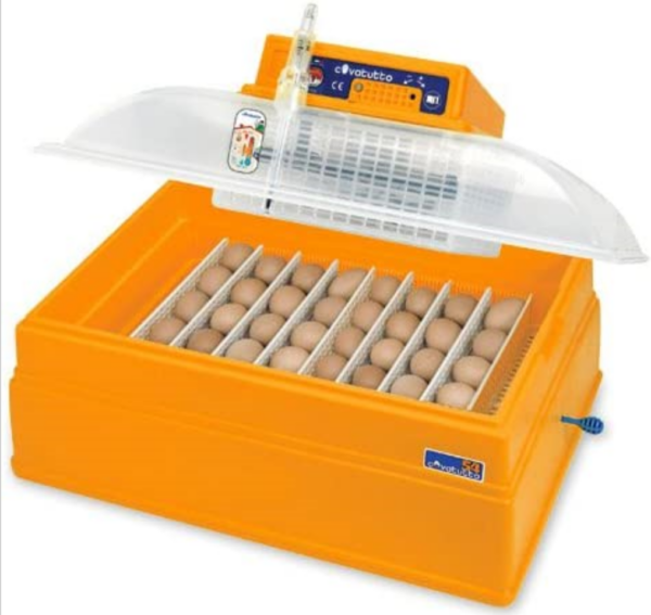 Incubatrice Analogica Covatutto 54 Coibentata