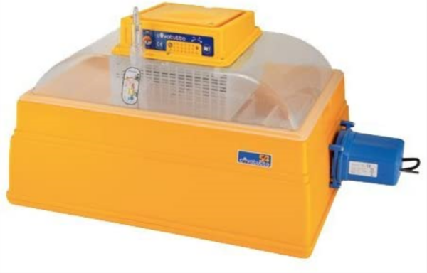 Incubatrice Analogica Covatutto 54 Coibentata Automatica