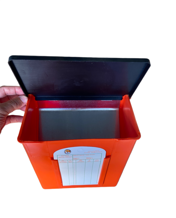 Mangiatoia Plastica Per Conigli 2 Scomparto