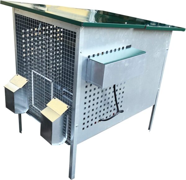 Pollaio Nisida Anti Predatori