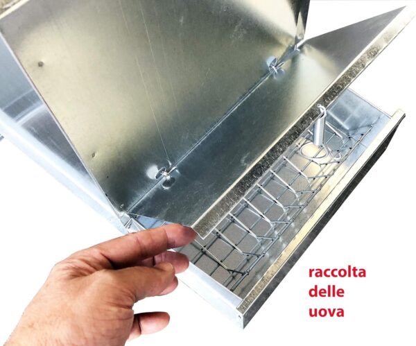 Pollaio Nisida Anti Predatori