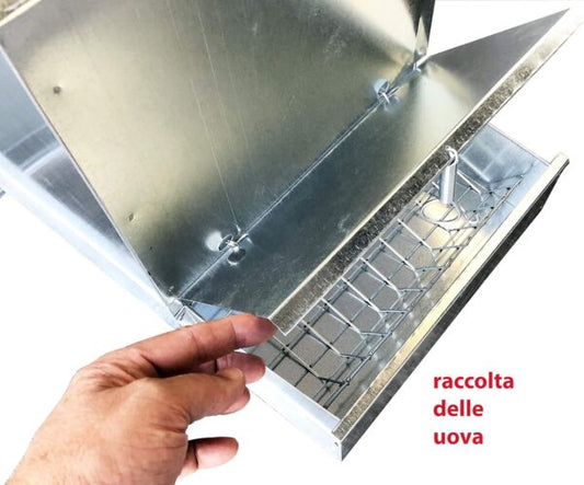 Pollaio Nisida Anti Predatori