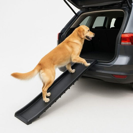 Rampa per cani Antiscivolo, Portatile e Resistente