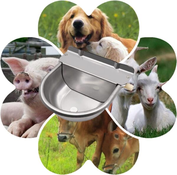 Abbeveratoio Automatico in Acciaio Inox a Livello Costante