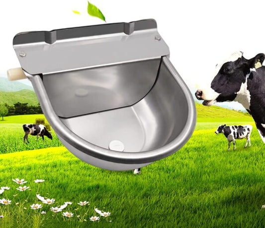 Abbeveratoio Automatico in Acciaio Inox a Livello Costante