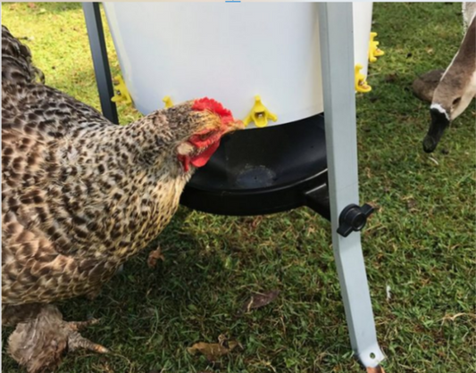 Abbeveratoio a Goccia Orizzontale Stilla