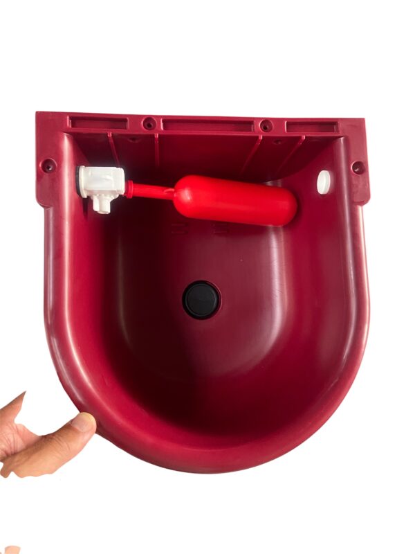 Abbeveratoio automatico in plastica polipropilene a livello costante.