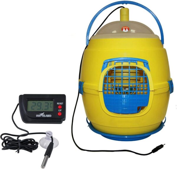 Allevatrice Riscaldatore Caldo Cip