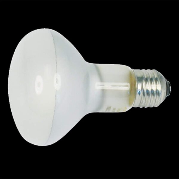 Allevatrice Riscaldatore Caldo Cip