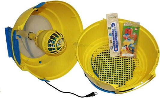 Allevatrice Riscaldatore Caldo Cip