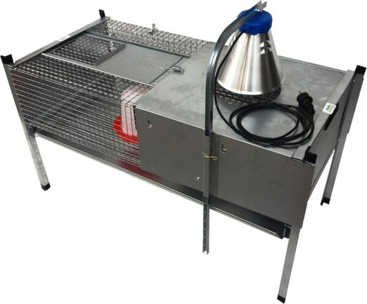 Gabbia Riscaldata Allevatrice Primi giorni per Pulcini