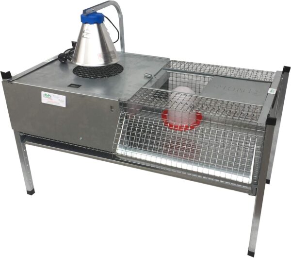 Gabbia Riscaldata Allevatrice Primi giorni per Pulcini