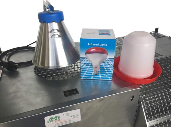 Gabbia Riscaldata Allevatrice Primi giorni per Pulcini