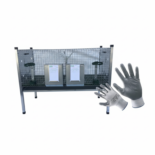 Amalfi Ingrasso - Immagine 1