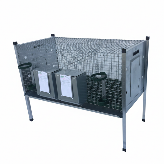 Amalfi Ingrasso - Immagine 2